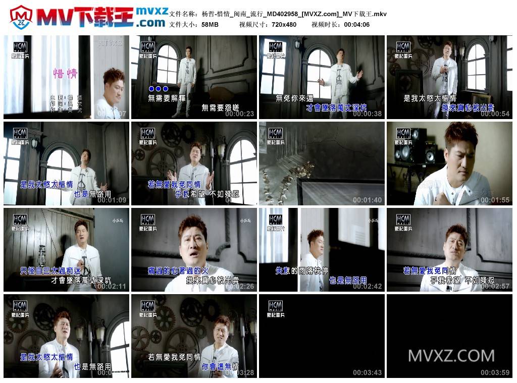 杨哲-惜情_闽南_流行_MD402958